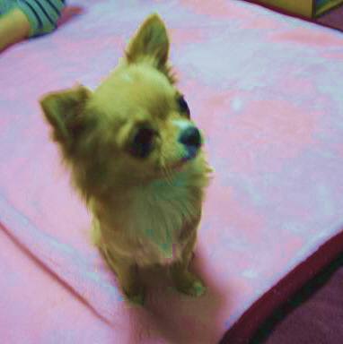 ���݂ʂ���������Ƃ��ʂ̂킳��