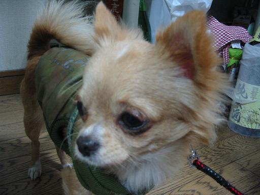 ���݂ʂ���������Ƃ��ʂ̂킳��