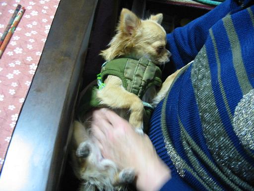 ���݂ʂ���������Ƃ��ʂ̂킳��