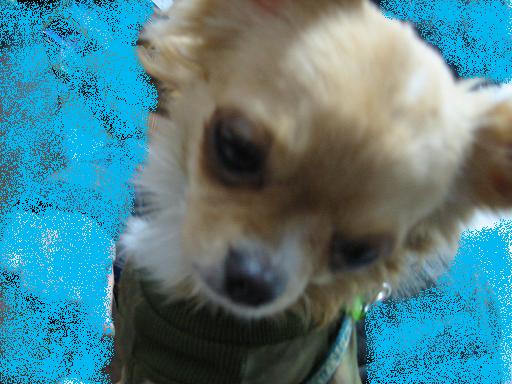 ���݂ʂ���������Ƃ��ʂ̂킳��