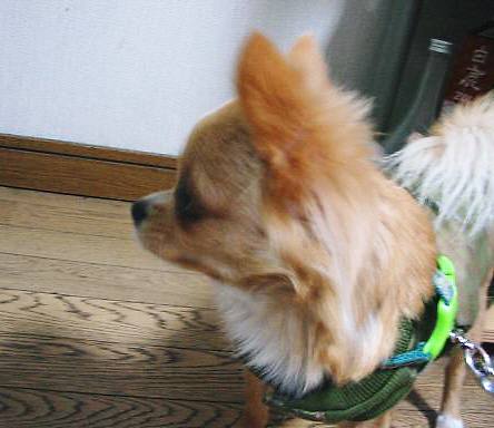 ���݂ʂ���������Ƃ��ʂ̂킳��