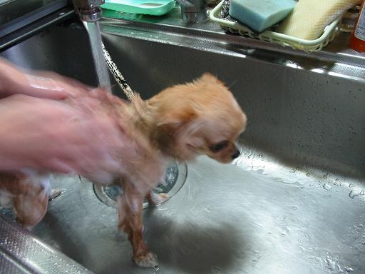 ���݂ʂ���������Ƃ��ʂ̂킳��