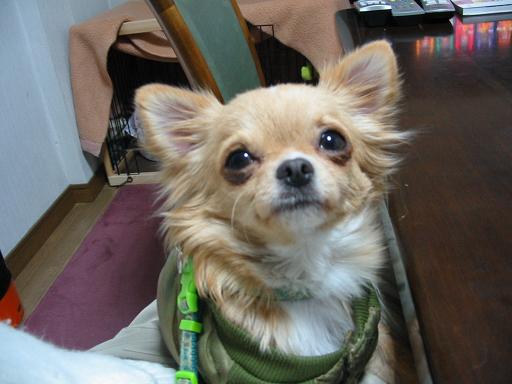 ���݂ʂ���������Ƃ��ʂ̂킳��