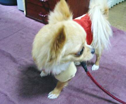 ���݂ʂ���������Ƃ��ʂ̂킳��