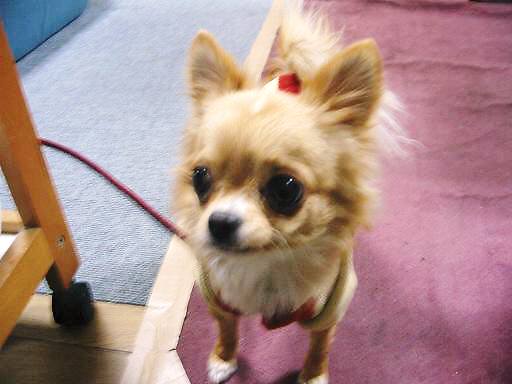 ���݂ʂ���������Ƃ��ʂ̂킳��