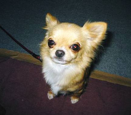 ���݂ʂ���������Ƃ��ʂ̂킳��