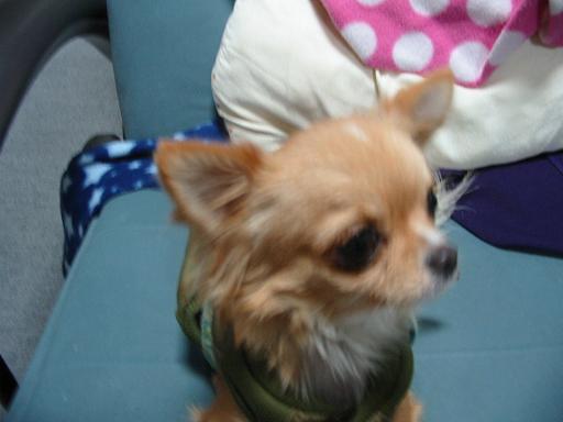 ���݂ʂ���������Ƃ��ʂ̂킳��