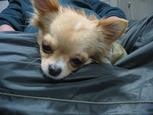 ���݂ʂ���������Ƃ��ʂ̂킳��