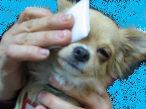 ���݂ʂ���������Ƃ��ʂ̂킳��