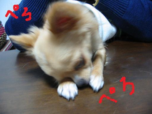 ���݂ʂ���������Ƃ��ʂ̂킳��