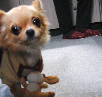 ���݂ʂ���������Ƃ��ʂ̂킳��