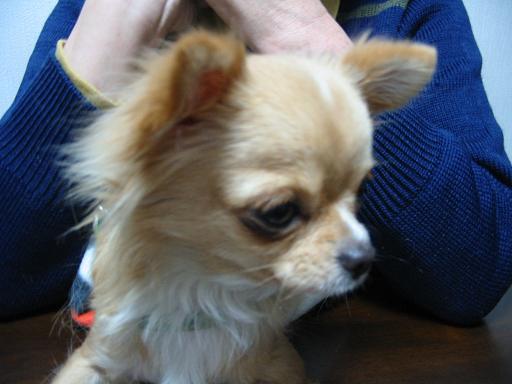 ���݂ʂ���������Ƃ��ʂ̂킳��