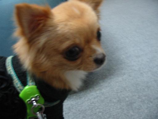 ���݂ʂ���������Ƃ��ʂ̂킳��