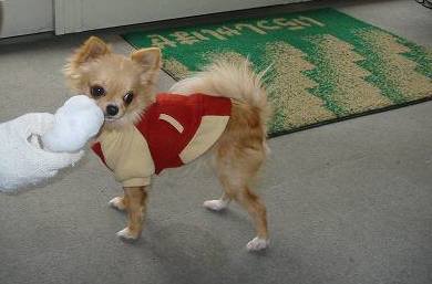 ���݂ʂ���������Ƃ��ʂ̂킳��