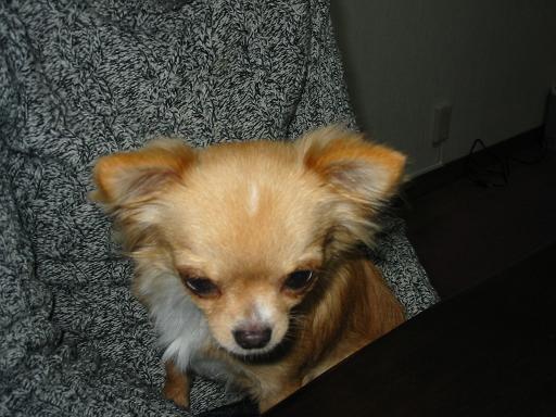 ���݂ʂ���������Ƃ��ʂ̂킳��