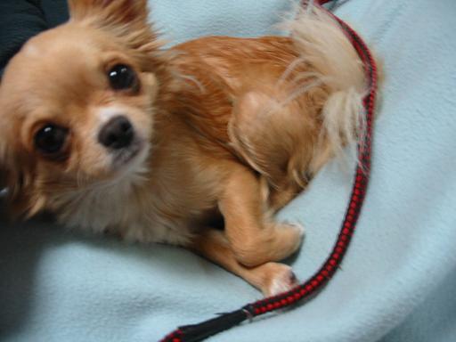 ���݂ʂ���������Ƃ��ʂ̂킳��