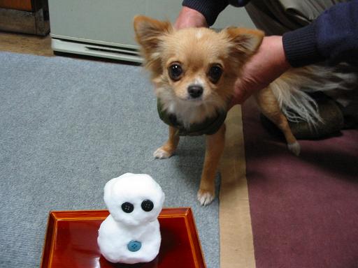 ���݂ʂ���������Ƃ��ʂ̂킳��