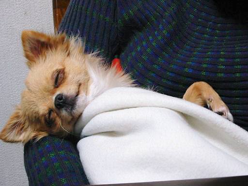 ���݂ʂ���������Ƃ��ʂ̂킳��