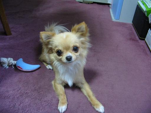 ���݂ʂ���������Ƃ��ʂ̂킳��