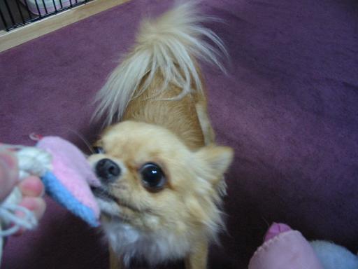 ���݂ʂ���������Ƃ��ʂ̂킳��