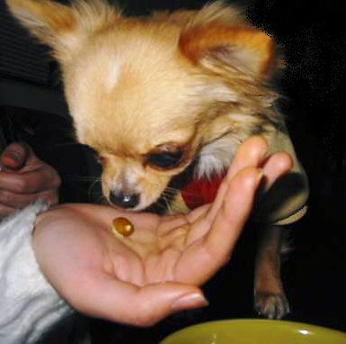 ���݂ʂ���������Ƃ��ʂ̂킳��