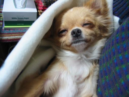 ���݂ʂ���������Ƃ��ʂ̂킳��