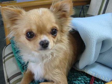 ���݂ʂ���������Ƃ��ʂ̂킳��