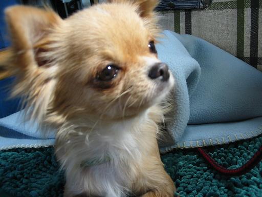 ���݂ʂ���������Ƃ��ʂ̂킳��