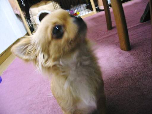 ���݂ʂ���������Ƃ��ʂ̂킳��