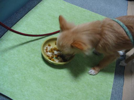 ���݂ʂ���������Ƃ��ʂ̂킳��