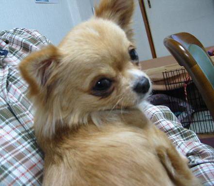 ���݂ʂ���������Ƃ��ʂ̂킳��