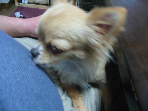 ���݂ʂ���������Ƃ��ʂ̂킳��