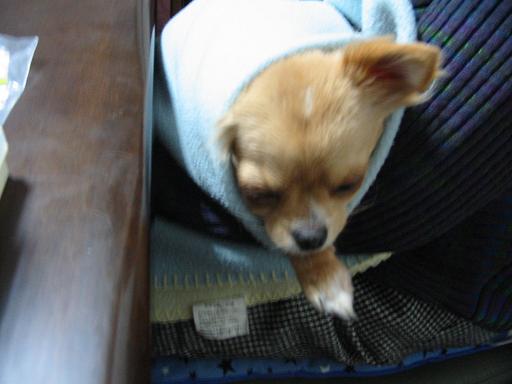 ���݂ʂ���������Ƃ��ʂ̂킳��