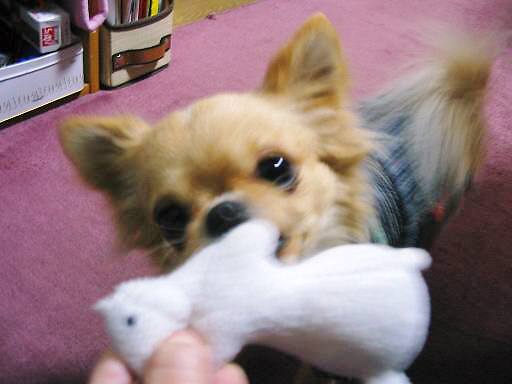 ���݂ʂ���������Ƃ��ʂ̂킳��