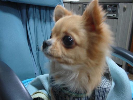 ���݂ʂ���������Ƃ��ʂ̂킳��