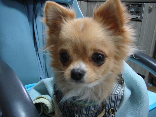 ���݂ʂ���������Ƃ��ʂ̂킳��