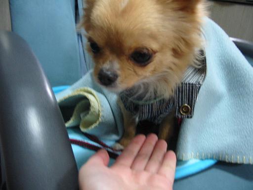 ���݂ʂ���������Ƃ��ʂ̂킳��