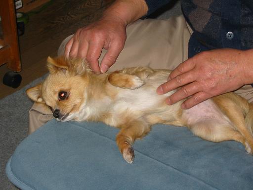 ���݂ʂ���������Ƃ��ʂ̂킳��