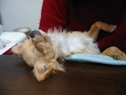 ���݂ʂ���������Ƃ��ʂ̂킳��