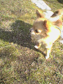 ���݂ʂ���������Ƃ��ʂ̂킳��