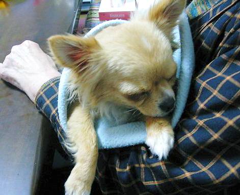 ���݂ʂ���������Ƃ��ʂ̂킳��