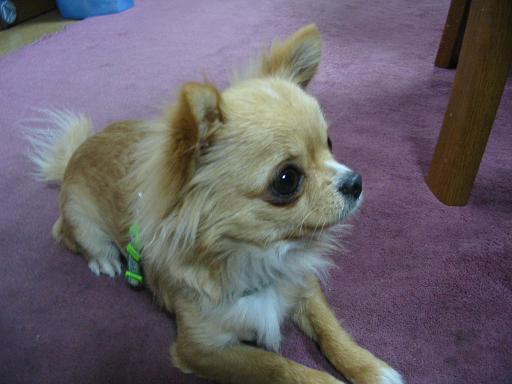 ���݂ʂ���������Ƃ��ʂ̂킳��