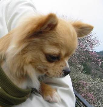 ���݂ʂ���������Ƃ��ʂ̂킳��