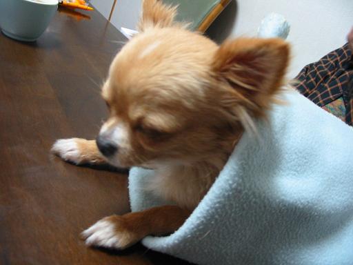 ���݂ʂ���������Ƃ��ʂ̂킳��