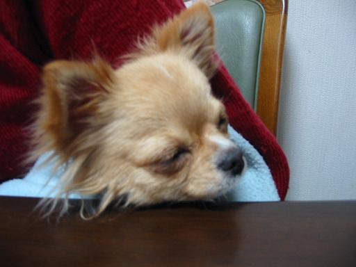 ���݂ʂ���������Ƃ��ʂ̂킳��