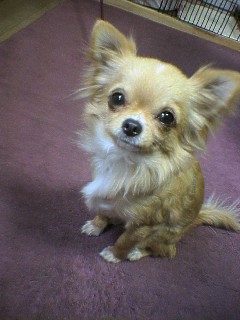 ���݂ʂ���������Ƃ��ʂ̂킳��