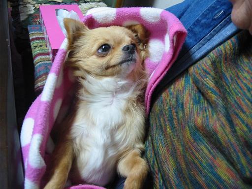 ���݂ʂ���������Ƃ��ʂ̂킳��