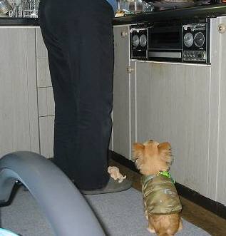 ���݂ʂ���������Ƃ��ʂ̂킳��