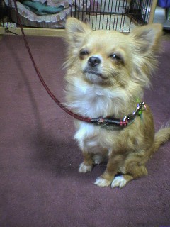 ���݂ʂ���������Ƃ��ʂ̂킳��