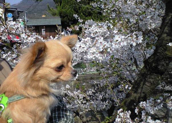 ���݂ʂ���������Ƃ��ʂ̂킳��